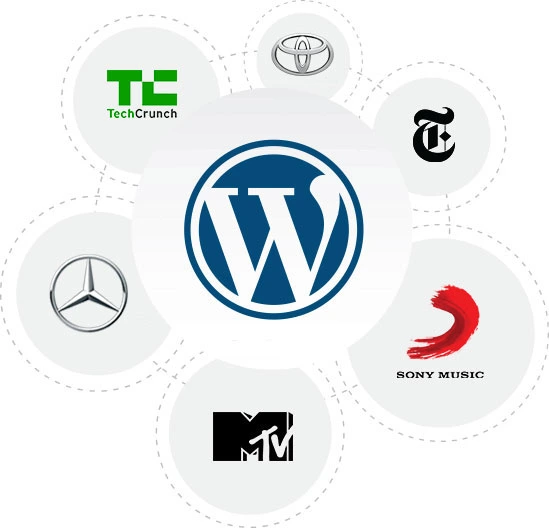 the best WordPress development & design company in India Stack IT